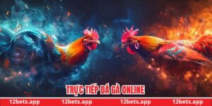 Trực tiếp đá gà online